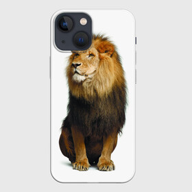 Чехол для iPhone 13 mini с принтом Король джунглей в Белгороде,  |  | leo | lion | власть | грива | дикая кошка | животное | зверь | клыки | когти | король джунглей | лев | мощь | мудрость | охотник | сила | хитрость | хищник | царь зверей | шерсть