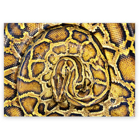 Поздравительная открытка с принтом Змея в Белгороде, 100% бумага | плотность бумаги 280 г/м2, матовая, на обратной стороне линовка и место для марки
 | snake | анаконда | гадюка | змеиная | змея | кобра | кожа | кожура | удав | уж | червь | червяк | яд