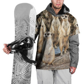 Накидка на куртку 3D с принтом Сурикаты в Белгороде, 100% полиэстер |  | Тематика изображения на принте: животное | зверёк | калахари | мангуст | млекопитающее | сурикат | южная африка