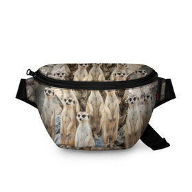 Поясная сумка 3D с принтом Сурикаты в Белгороде, 100% полиэстер | плотная ткань, ремень с регулируемой длиной, внутри несколько карманов для мелочей, основное отделение и карман с обратной стороны сумки застегиваются на молнию | животное | зверёк | калахари | мангуст | млекопитающее | сурикат | южная африка