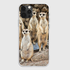 Чехол для iPhone 12 Pro Max с принтом Сурикаты в Белгороде, Силикон |  | животное | зверёк | калахари | мангуст | млекопитающее | сурикат | южная африка