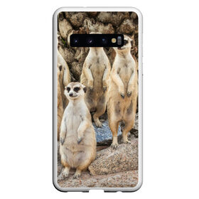 Чехол для Samsung Galaxy S10 с принтом Сурикаты в Белгороде, Силикон | Область печати: задняя сторона чехла, без боковых панелей | животное | зверёк | калахари | мангуст | млекопитающее | сурикат | южная африка