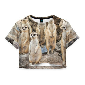 Женская футболка 3D укороченная с принтом Сурикаты в Белгороде, 100% полиэстер | круглая горловина, длина футболки до линии талии, рукава с отворотами | животное | зверёк | калахари | мангуст | млекопитающее | сурикат | южная африка