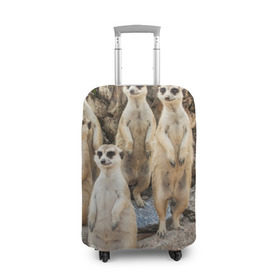 Чехол для чемодана 3D с принтом Сурикаты в Белгороде, 86% полиэфир, 14% спандекс | двустороннее нанесение принта, прорези для ручек и колес | Тематика изображения на принте: животное | зверёк | калахари | мангуст | млекопитающее | сурикат | южная африка