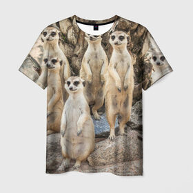 Мужская футболка 3D с принтом Сурикаты в Белгороде, 100% полиэфир | прямой крой, круглый вырез горловины, длина до линии бедер | животное | зверёк | калахари | мангуст | млекопитающее | сурикат | южная африка
