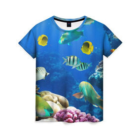 Женская футболка 3D с принтом Дайвинг в Белгороде, 100% полиэфир ( синтетическое хлопкоподобное полотно) | прямой крой, круглый вырез горловины, длина до линии бедер | Тематика изображения на принте: дайвинг | египет | каникулы | коралловый риф | крабы | красное море | море | морские обитатели | океан | отдых | отпуск | подводные красоты | приключение | рыбки | рыбы | туризм