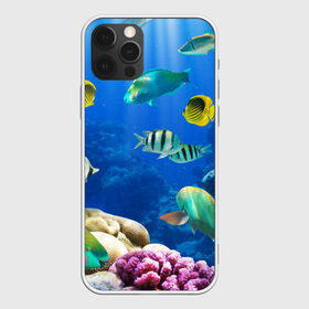 Чехол для iPhone 12 Pro Max с принтом Дайвинг в Белгороде, Силикон |  | Тематика изображения на принте: дайвинг | египет | каникулы | коралловый риф | крабы | красное море | море | морские обитатели | океан | отдых | отпуск | подводные красоты | приключение | рыбки | рыбы | туризм