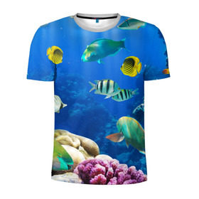 Мужская футболка 3D спортивная с принтом Дайвинг в Белгороде, 100% полиэстер с улучшенными характеристиками | приталенный силуэт, круглая горловина, широкие плечи, сужается к линии бедра | дайвинг | египет | каникулы | коралловый риф | крабы | красное море | море | морские обитатели | океан | отдых | отпуск | подводные красоты | приключение | рыбки | рыбы | туризм