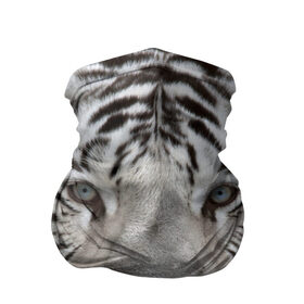 Бандана-труба 3D с принтом Бенгальский тигр в Белгороде, 100% полиэстер, ткань с особыми свойствами — Activecool | плотность 150‒180 г/м2; хорошо тянется, но сохраняет форму | tiger | белый | дикая кошка | тигр | хищник