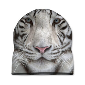 Шапка 3D с принтом Бенгальский тигр в Белгороде, 100% полиэстер | универсальный размер, печать по всей поверхности изделия | tiger | белый | дикая кошка | тигр | хищник