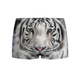 Мужские трусы 3D с принтом Бенгальский тигр в Белгороде, 50% хлопок, 50% полиэстер | классическая посадка, на поясе мягкая тканевая резинка | tiger | белый | дикая кошка | тигр | хищник