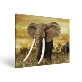 Холст прямоугольный с принтом Могучий слон в Белгороде, 100% ПВХ |  | elephant | африка | бивни | джунгли | мамонт | савана | сафари | слон | хобот