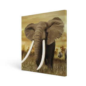 Холст квадратный с принтом Могучий слон в Белгороде, 100% ПВХ |  | elephant | африка | бивни | джунгли | мамонт | савана | сафари | слон | хобот