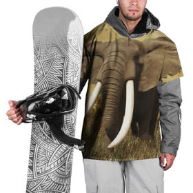 Накидка на куртку 3D с принтом Могучий слон в Белгороде, 100% полиэстер |  | elephant | африка | бивни | джунгли | мамонт | савана | сафари | слон | хобот