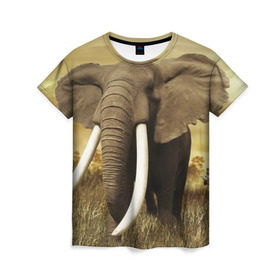Женская футболка 3D с принтом Могучий слон в Белгороде, 100% полиэфир ( синтетическое хлопкоподобное полотно) | прямой крой, круглый вырез горловины, длина до линии бедер | elephant | африка | бивни | джунгли | мамонт | савана | сафари | слон | хобот
