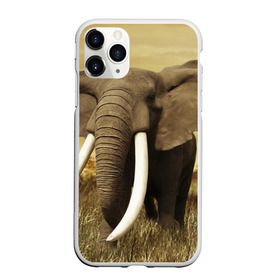 Чехол для iPhone 11 Pro матовый с принтом Могучий слон в Белгороде, Силикон |  | Тематика изображения на принте: elephant | африка | бивни | джунгли | мамонт | савана | сафари | слон | хобот