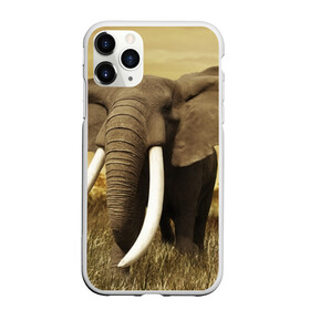 Чехол для iPhone 11 Pro Max матовый с принтом Могучий слон в Белгороде, Силикон |  | elephant | африка | бивни | джунгли | мамонт | савана | сафари | слон | хобот