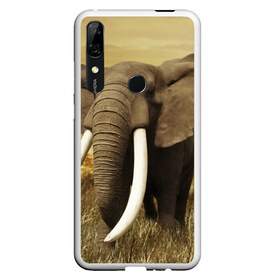 Чехол для Honor P Smart Z с принтом Могучий слон в Белгороде, Силикон | Область печати: задняя сторона чехла, без боковых панелей | Тематика изображения на принте: elephant | африка | бивни | джунгли | мамонт | савана | сафари | слон | хобот