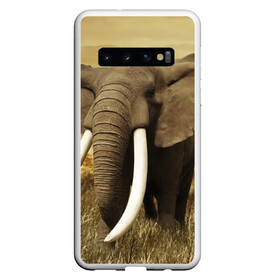Чехол для Samsung Galaxy S10 с принтом Могучий слон в Белгороде, Силикон | Область печати: задняя сторона чехла, без боковых панелей | Тематика изображения на принте: elephant | африка | бивни | джунгли | мамонт | савана | сафари | слон | хобот