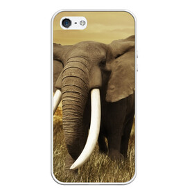 Чехол для iPhone 5/5S матовый с принтом Могучий слон в Белгороде, Силикон | Область печати: задняя сторона чехла, без боковых панелей | elephant | африка | бивни | джунгли | мамонт | савана | сафари | слон | хобот