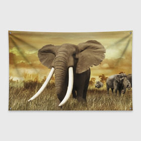 Флаг-баннер с принтом Могучий слон в Белгороде, 100% полиэстер | размер 67 х 109 см, плотность ткани — 95 г/м2; по краям флага есть четыре люверса для крепления | elephant | африка | бивни | джунгли | мамонт | савана | сафари | слон | хобот