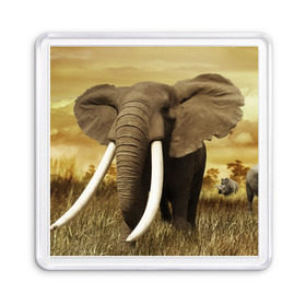 Магнит 55*55 с принтом Могучий слон в Белгороде, Пластик | Размер: 65*65 мм; Размер печати: 55*55 мм | elephant | африка | бивни | джунгли | мамонт | савана | сафари | слон | хобот