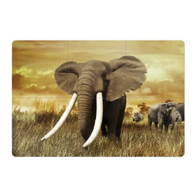 Магнитный плакат 3Х2 с принтом Могучий слон в Белгороде, Полимерный материал с магнитным слоем | 6 деталей размером 9*9 см | elephant | африка | бивни | джунгли | мамонт | савана | сафари | слон | хобот