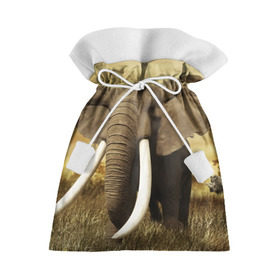 Подарочный 3D мешок с принтом Могучий слон в Белгороде, 100% полиэстер | Размер: 29*39 см | Тематика изображения на принте: elephant | африка | бивни | джунгли | мамонт | савана | сафари | слон | хобот