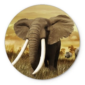 Коврик круглый с принтом Могучий слон в Белгороде, резина и полиэстер | круглая форма, изображение наносится на всю лицевую часть | elephant | африка | бивни | джунгли | мамонт | савана | сафари | слон | хобот