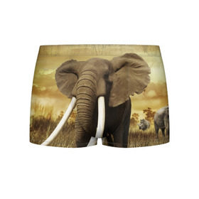 Мужские трусы 3D с принтом Могучий слон в Белгороде, 50% хлопок, 50% полиэстер | классическая посадка, на поясе мягкая тканевая резинка | Тематика изображения на принте: elephant | африка | бивни | джунгли | мамонт | савана | сафари | слон | хобот