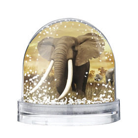 Водяной шар с принтом Могучий слон в Белгороде, Пластик | Изображение внутри шара печатается на глянцевой фотобумаге с двух сторон | Тематика изображения на принте: elephant | африка | бивни | джунгли | мамонт | савана | сафари | слон | хобот