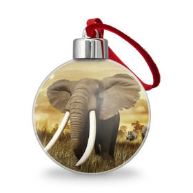 Ёлочный шар с принтом Могучий слон в Белгороде, Пластик | Диаметр: 77 мм | elephant | африка | бивни | джунгли | мамонт | савана | сафари | слон | хобот