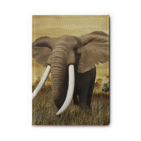 Обложка для автодокументов с принтом Могучий слон в Белгороде, натуральная кожа |  размер 19,9*13 см; внутри 4 больших “конверта” для документов и один маленький отдел — туда идеально встанут права | elephant | африка | бивни | джунгли | мамонт | савана | сафари | слон | хобот