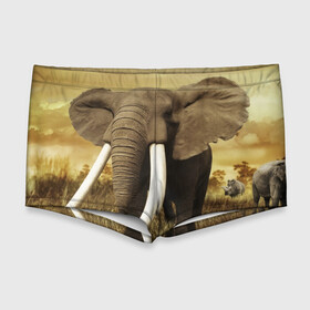 Мужские купальные плавки 3D с принтом Могучий слон в Белгороде, Полиэстер 85%, Спандекс 15% |  | Тематика изображения на принте: elephant | африка | бивни | джунгли | мамонт | савана | сафари | слон | хобот