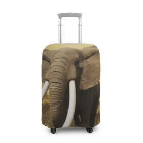 Чехол для чемодана 3D с принтом Могучий слон в Белгороде, 86% полиэфир, 14% спандекс | двустороннее нанесение принта, прорези для ручек и колес | elephant | африка | бивни | джунгли | мамонт | савана | сафари | слон | хобот