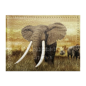 Обложка для студенческого билета с принтом Могучий слон в Белгороде, натуральная кожа | Размер: 11*8 см; Печать на всей внешней стороне | elephant | африка | бивни | джунгли | мамонт | савана | сафари | слон | хобот