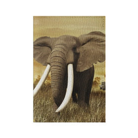 Обложка для паспорта матовая кожа с принтом Могучий слон в Белгороде, натуральная матовая кожа | размер 19,3 х 13,7 см; прозрачные пластиковые крепления | elephant | африка | бивни | джунгли | мамонт | савана | сафари | слон | хобот