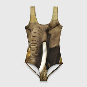 Купальник-боди 3D с принтом Могучий слон в Белгороде, 82% полиэстер, 18% эластан | Круглая горловина, круглый вырез на спине | elephant | африка | бивни | джунгли | мамонт | савана | сафари | слон | хобот