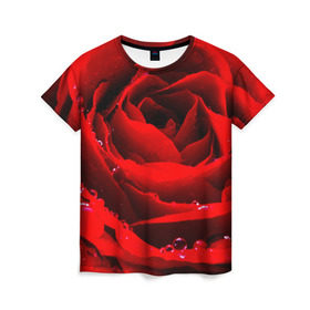 Женская футболка 3D с принтом Роза в Белгороде, 100% полиэфир ( синтетическое хлопкоподобное полотно) | прямой крой, круглый вырез горловины, длина до линии бедер | роза | розовая | розы | романтика | цветы