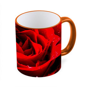 Кружка 3D с принтом Роза в Белгороде, керамика | ёмкость 330 мл | роза | розовая | розы | романтика | цветы