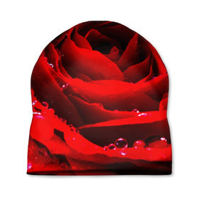 Шапка 3D с принтом Роза в Белгороде, 100% полиэстер | универсальный размер, печать по всей поверхности изделия | роза | розовая | розы | романтика | цветы