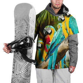 Накидка на куртку 3D с принтом Попугаи на ветке в Белгороде, 100% полиэстер |  | джунгли | клюв | острова | перья | попугай | птица | тропики | экзотика