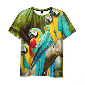 Мужская футболка 3D с принтом Попугаи на ветке в Белгороде, 100% полиэфир | прямой крой, круглый вырез горловины, длина до линии бедер | джунгли | клюв | острова | перья | попугай | птица | тропики | экзотика