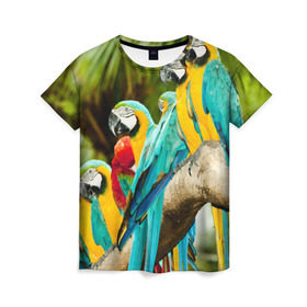 Женская футболка 3D с принтом Попугаи на ветке в Белгороде, 100% полиэфир ( синтетическое хлопкоподобное полотно) | прямой крой, круглый вырез горловины, длина до линии бедер | Тематика изображения на принте: джунгли | клюв | острова | перья | попугай | птица | тропики | экзотика
