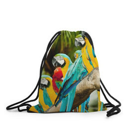 Рюкзак-мешок 3D с принтом Попугаи на ветке в Белгороде, 100% полиэстер | плотность ткани — 200 г/м2, размер — 35 х 45 см; лямки — толстые шнурки, застежка на шнуровке, без карманов и подкладки | джунгли | клюв | острова | перья | попугай | птица | тропики | экзотика