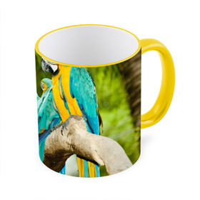 Кружка 3D с принтом Попугаи на ветке в Белгороде, керамика | ёмкость 330 мл | Тематика изображения на принте: джунгли | клюв | острова | перья | попугай | птица | тропики | экзотика