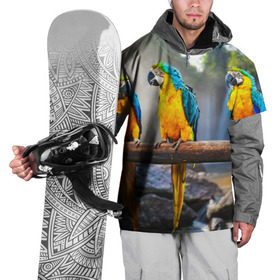 Накидка на куртку 3D с принтом Экзотические попугаи в Белгороде, 100% полиэстер |  | джунгли | клюв | острова | перья | попугай | птица | тропики | экзотика