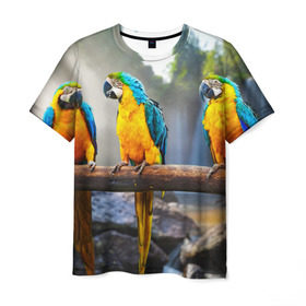 Мужская футболка 3D с принтом Экзотические попугаи в Белгороде, 100% полиэфир | прямой крой, круглый вырез горловины, длина до линии бедер | джунгли | клюв | острова | перья | попугай | птица | тропики | экзотика