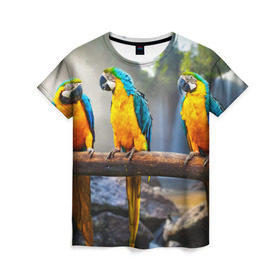Женская футболка 3D с принтом Экзотические попугаи в Белгороде, 100% полиэфир ( синтетическое хлопкоподобное полотно) | прямой крой, круглый вырез горловины, длина до линии бедер | джунгли | клюв | острова | перья | попугай | птица | тропики | экзотика