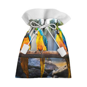 Подарочный 3D мешок с принтом Экзотические попугаи в Белгороде, 100% полиэстер | Размер: 29*39 см | джунгли | клюв | острова | перья | попугай | птица | тропики | экзотика